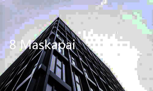 8 Maskapai Penerbangan Ini Punya Tiket Pesawat Termahal di Dunia
