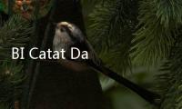BI Catat Dana Asing Masuk Capai Rp5,20 Triliun dalam Sepekan
