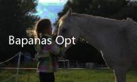Bapanas Optimis Program MBG Dapat Jadi Penggerak Ekonomi