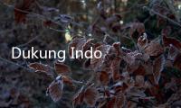 Dukung Indonesia Emas 2045, Sequis Life  Lakukan Ini