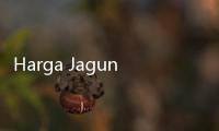 Harga Jagung Turun Drastis, Bapanas Akan Optimalkan Serap Hasil Panen Petani untuk Jaga Stabilitas