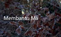 Membantu Masyarakat Miskin dengan Bantuan Pangan Berkualitas dari Perum BULOG