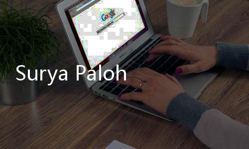 Surya Paloh Nilai Hak Angket Pemilu Sudah Tak Relevan Usai Putusan MK