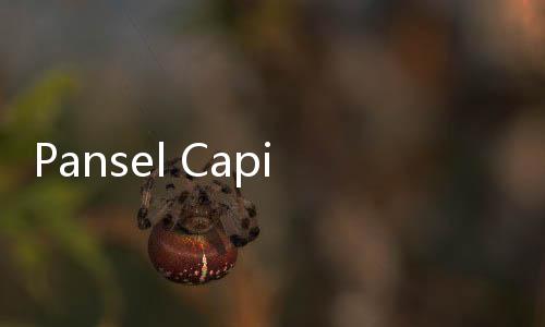 Pansel Capim Adakan Audiensi dengan Pimpinan KPK