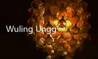 Wuling Ungguli Chery untuk Penjualan Mobil di Bulan Mei 2025